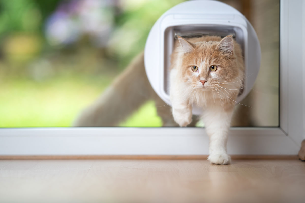 Smart pet door