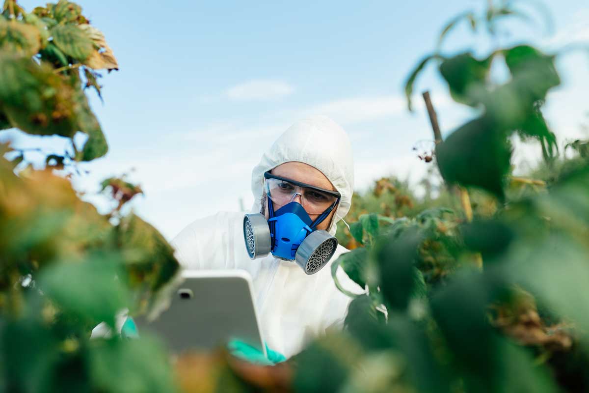 よりスマートな害虫駆除のためのAIとIoTソリューションの活用--害虫駆除