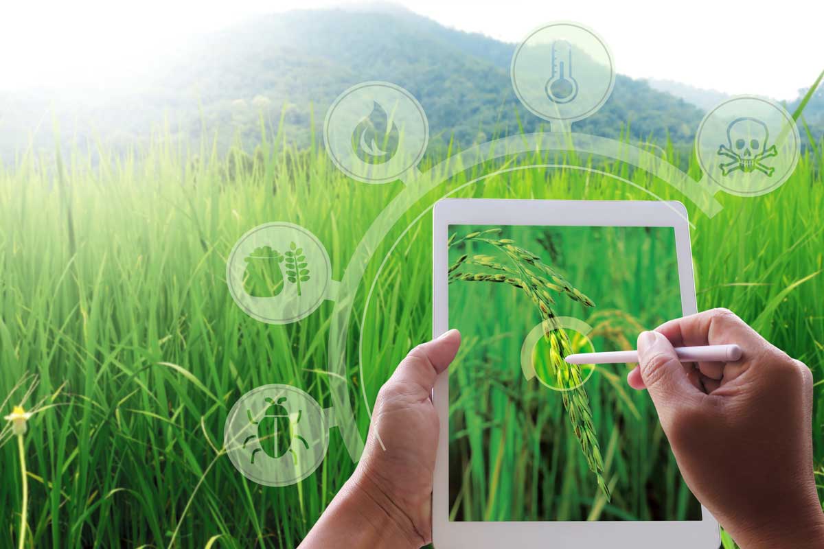 よりスマートな害虫駆除タブレットのためのAIとIoTソリューションの活用
