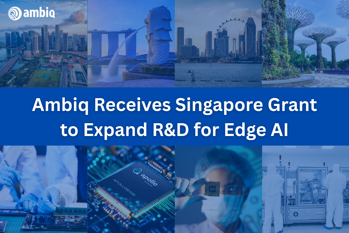 Singapore grant PR 1 1